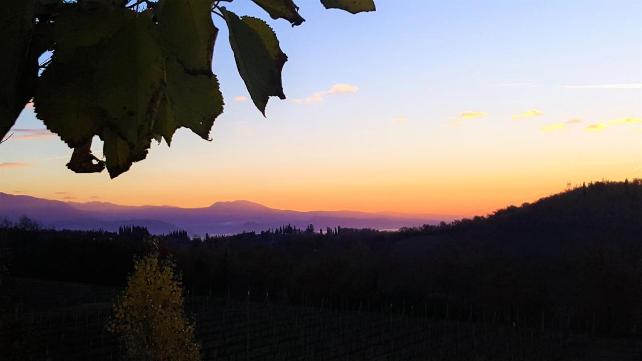 Agriturismo La Guarda Picedo Eksteriør bilde