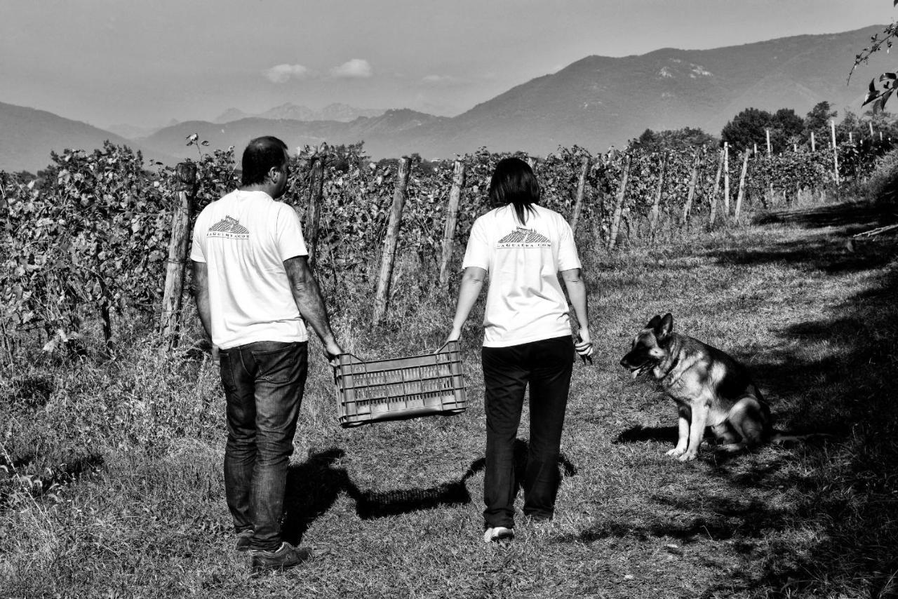 Agriturismo La Guarda Picedo Eksteriør bilde