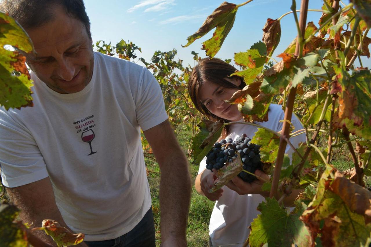 Agriturismo La Guarda Picedo Eksteriør bilde