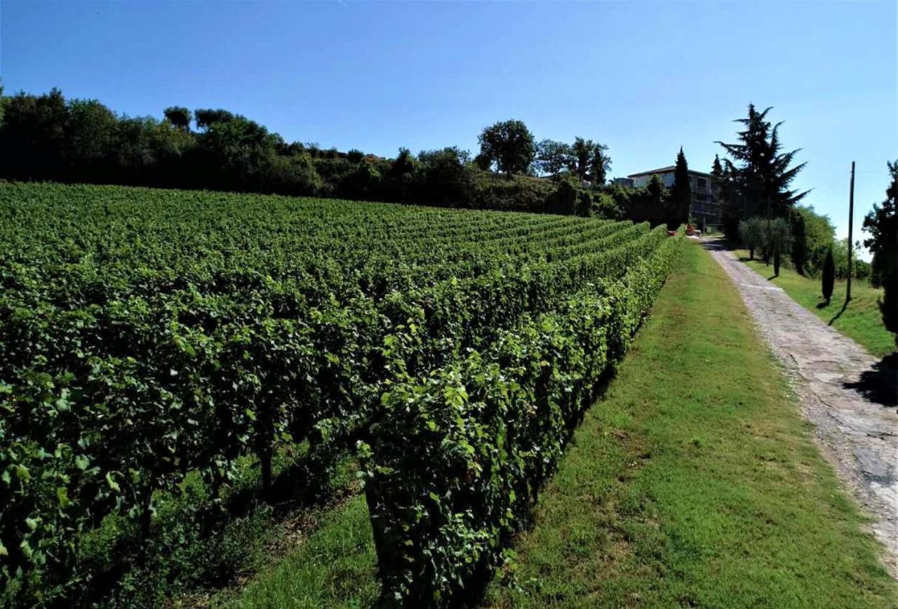 Agriturismo La Guarda Picedo Eksteriør bilde