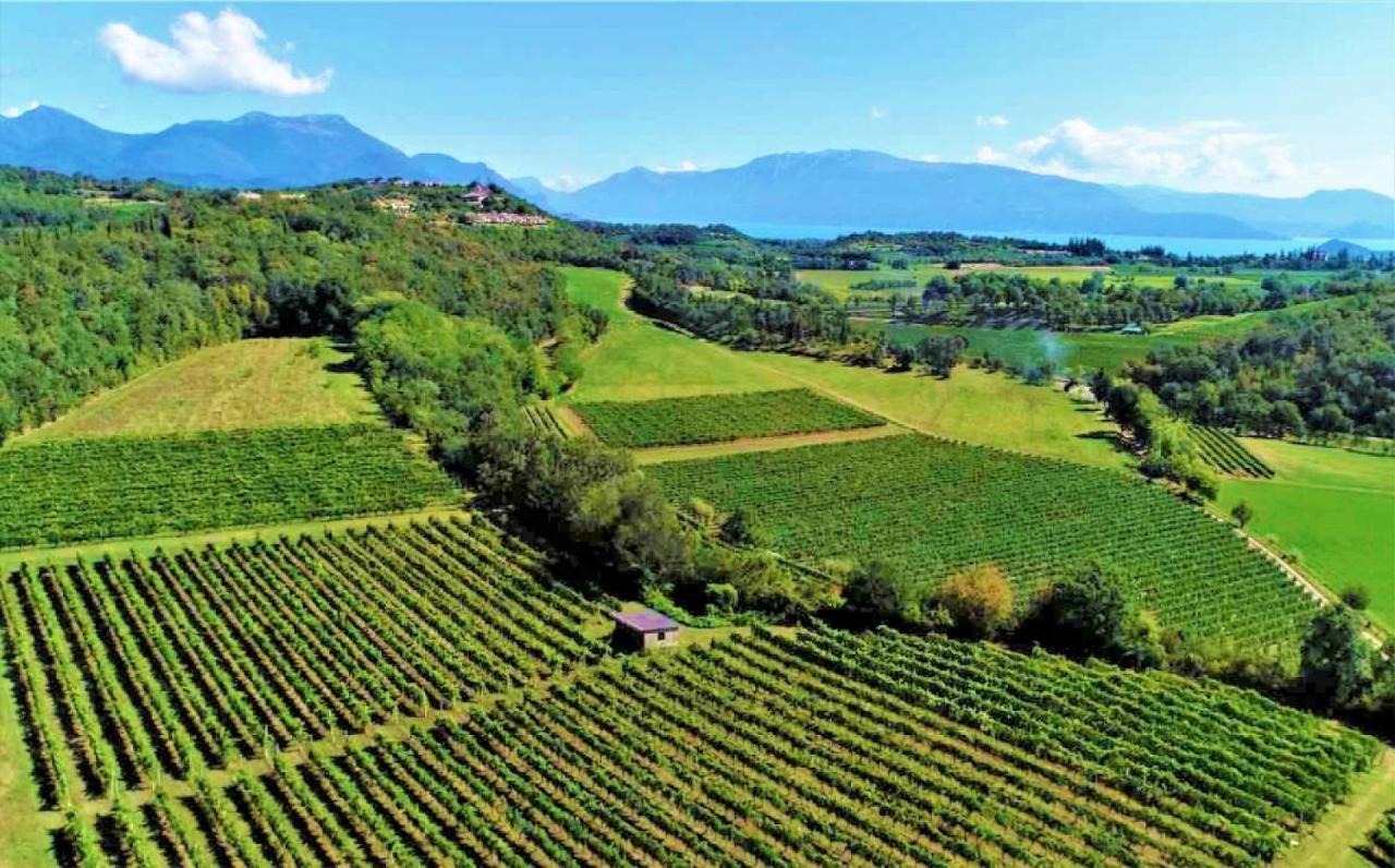 Agriturismo La Guarda Picedo Eksteriør bilde